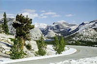 Yosemite road