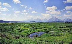 Willow Flats.