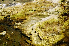 Sinter and algae.