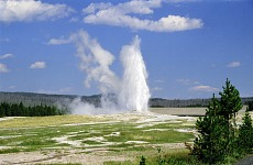 Old Faithful.