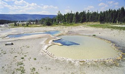 Crusted pool.