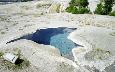 Blue Star Spring.