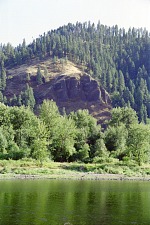 Trees and rocks.