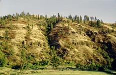 Riverside hills.