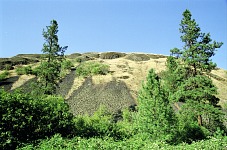 Fuzzy hills.