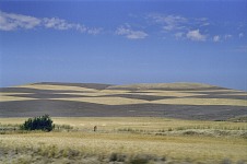 Banded hills.
