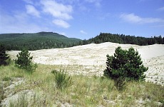 Quieter sand dunes.