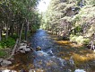 North Saint Vrain Creek.
