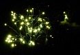 Ohňostroj. | Fireworks.