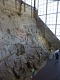 Hala s kostmi dinosaurů. | Dino Bone Hall.