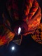 Hlídka za úsvitu. | Dawn Patrol. | Dragon Moon.