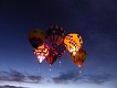 Hlídka za úsvitu — hejno. | Dawn Patrol — flock.