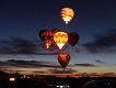 Hlídka za úsvitu — hejno. | Dawn Patrol — flock.