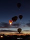 Hlídka za úsvitu — hejno. | Dawn Patrol — flock.