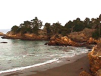 Point Lobos