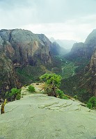 Angels Landing, Zion NP