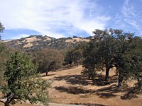 Lick's Observatory