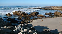 Asilomar, Monterey Peninsula