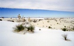 Bílé Písky, NM