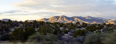 Arizona Hills