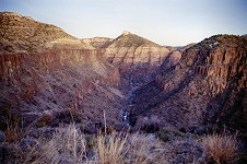 Salt River, AZ