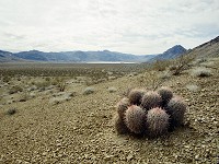 Racetrack Valley