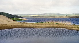 Abbotts Lagoon