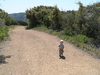 Big road, small boy