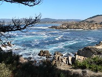 Point Lobos