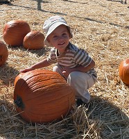 Selected pumpkin