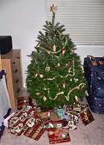 Presents almost did not fit under our tree