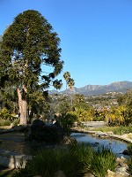 California landscape, 300 miles from our home - it's like a trip to the Mediterranean Sea.