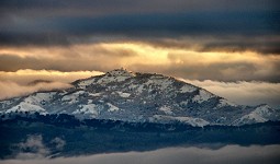 Snow in sunny California