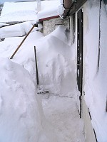 Our back yard snowpile