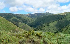 Hills of Garrapata