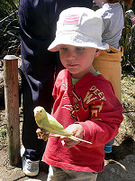 Tom feeding birds