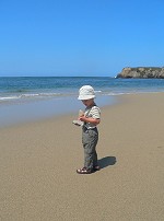 Tom devotes himself to his favorite filling the ocean floor with rocks