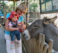 With granny at the ZOO