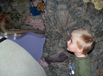 Tom and a moray