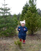 Lisa has the run of the Christmas tree farm