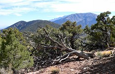 Telescope Peak