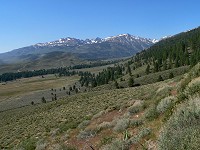 Sierra Nevada foothills