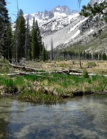 Mountain stream