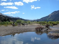 Leavitt Meadows