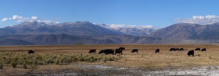 Bridgeport Valley is protected by Crater Ridge from the west