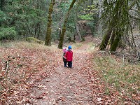 Kids in a forest nearCastle Rock