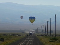 Balloons and sheep