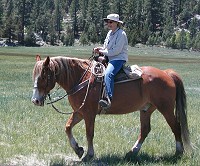 Granny on horseback