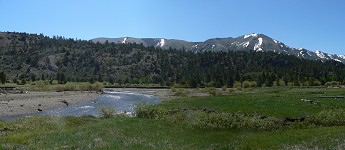 Leavitt Meadows