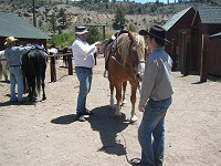 Snacks go in the saddle bag